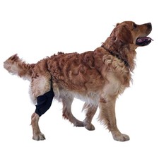 Knee Brace for Dogs with ACL M Right M Right