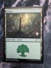 Forest (5) [Promo Pack: Core Set 2020] Magic MTG