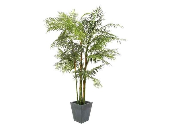Europalms Cycusrohrpalme, 280Cm - Kunstpflanze-image