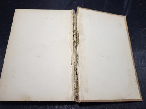ANTIQUE BOOK-TATTERED TOM SERIES-PHIL THE FIDDLER-1872-HORATIO ALGER JR. - Picture 10 of 13
