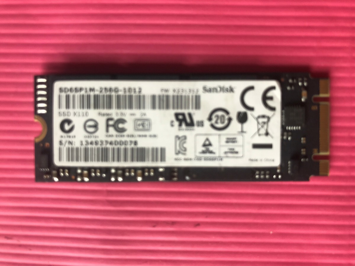 SanDisk X110 256GB Internal (SD6SP1M-256G-1012) for sale SanDisk X110 256GB Internal (SD6SP1M-256G-1012) for sale