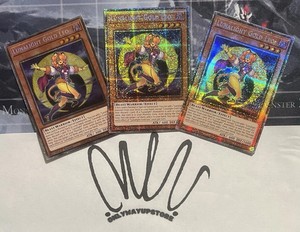 yugioh duel links lunalight deck Amazon.com: Complete Custom Deck for ARC-V