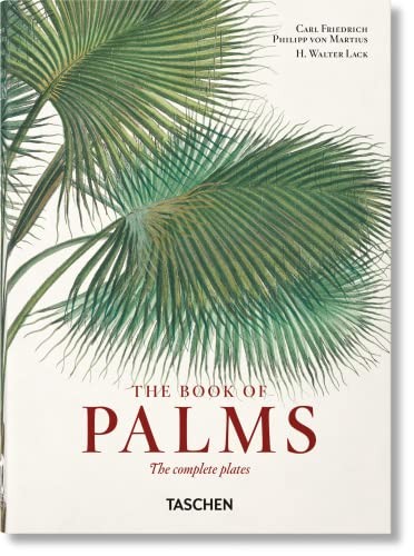 Taschen Martius. The Book Of Palms. 45Th Ed. - Image 4