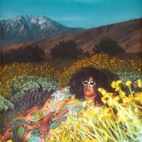 Brittany Howard - What Now - Standard Cd - F600Z