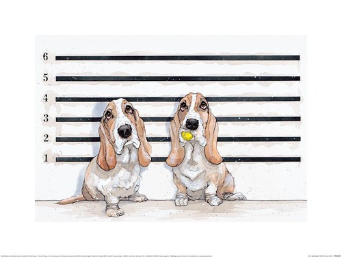 Bev Davies - Line Up Bassets - Official Fine Art Print - 2 sizes available - Picture 2 of 3