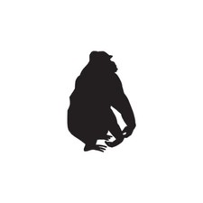 Gorilla Monkey Ape - Vinyl Decal Sticker - Multiple Color  Sizes - ebn877