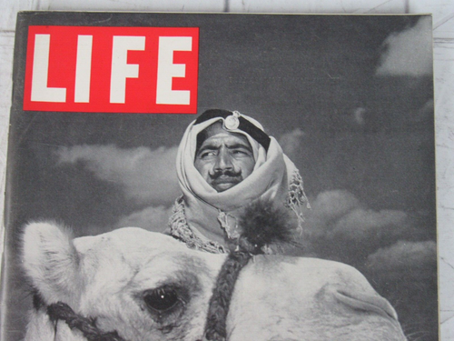 Life Magazine November 4, 1946 Palestine - Picture 2 of 7