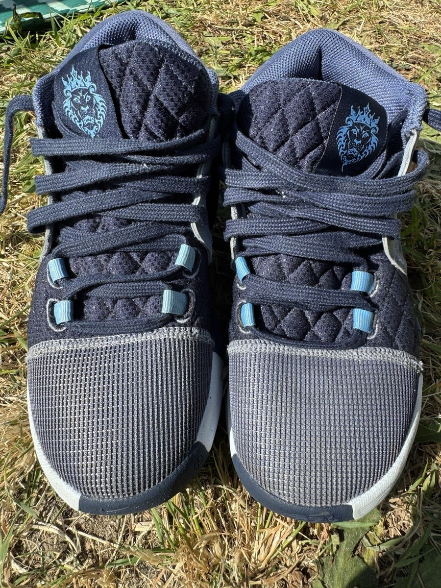 lebron shoes all models