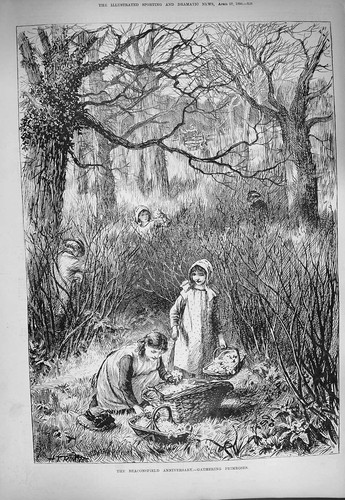 Original Old Antique Print 1884 Beaconsfield Anniversary Gathering Primroses