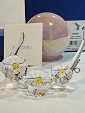 Swarovski Crystal SCS 2017 - Wild Flowers #5244637 Mint condition. New