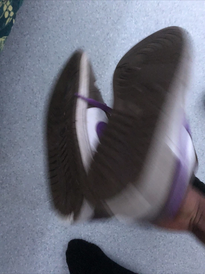 EU Größe 43 - Nike Dunk Low Palomino, Foto 3 von 4