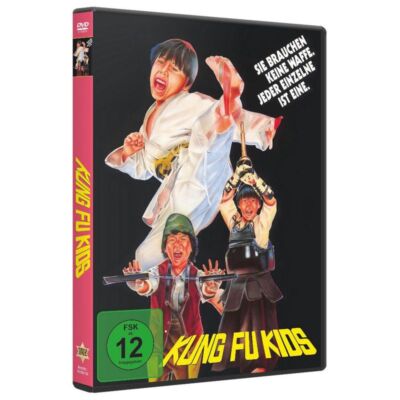 Kung Fu Kids - 375 Media  - (DVD Video / Action)