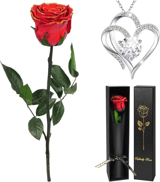 Yamonic Ewige Rose Geschenke FüR Frauen, Ewige Echte Rose Mit Herz Halskette-image