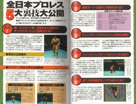 ALL JAPAN PRO WRESTLING AJPW SEGA SATURN SS GAME OFFICIAL GUIDE BOOK SOFTBANK