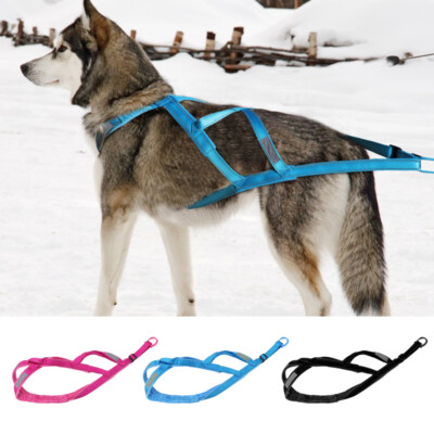 Dog Sled Harness Heavy Duty Pulling Vest Reflective Adjustable For Large Dogs Ebay