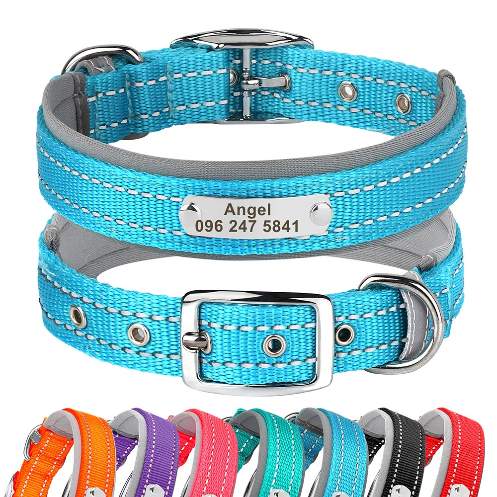 Personalised dog on sale collars ebay