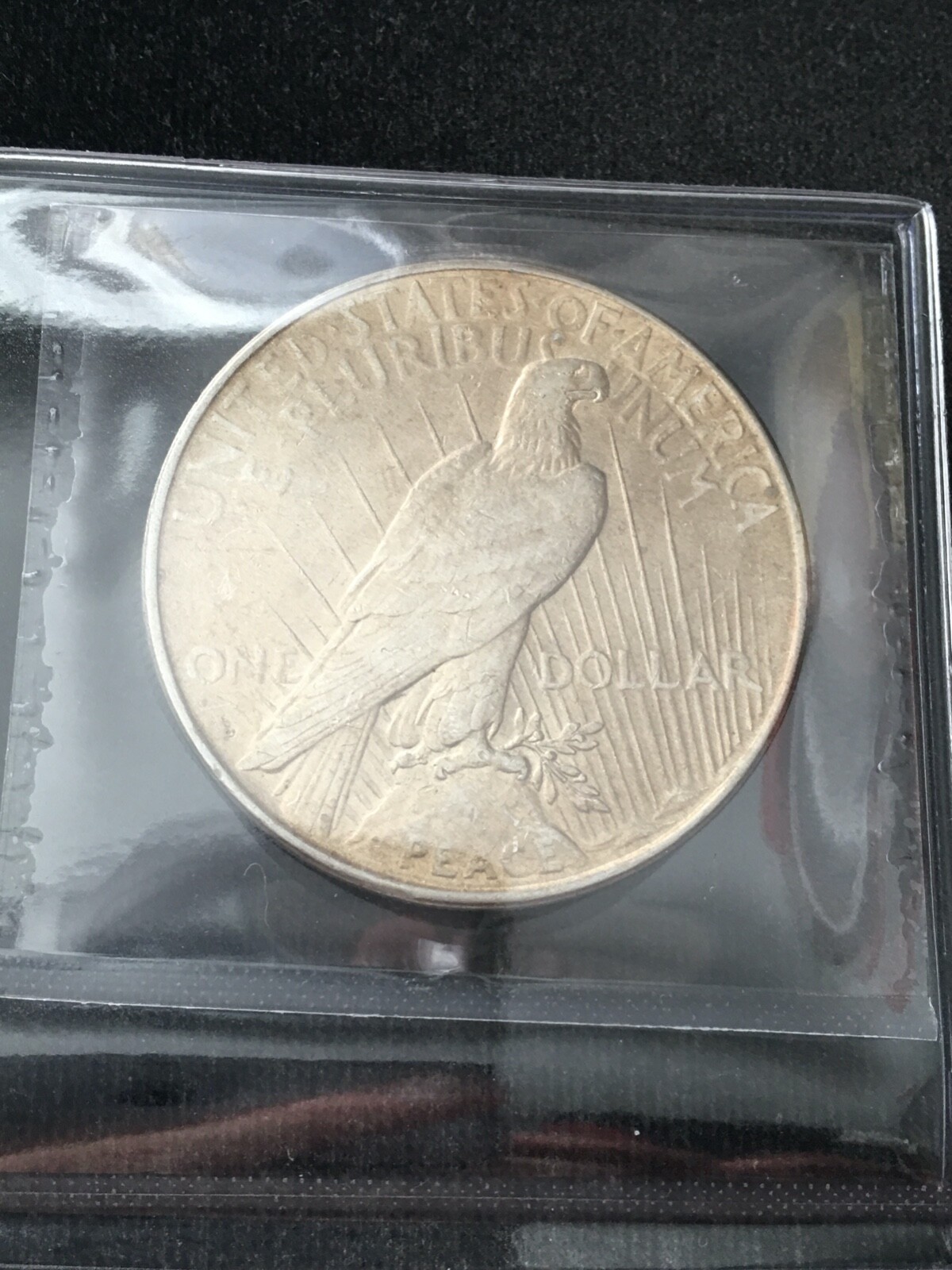 Picture 6 of 8