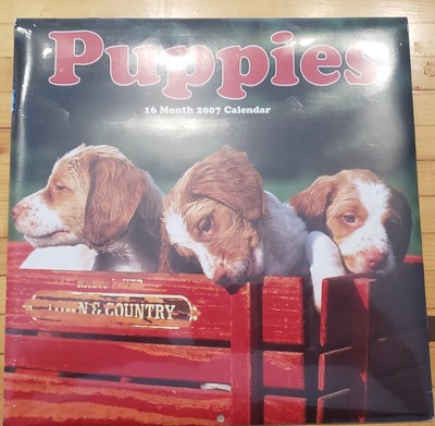SEALED Puppies dogs Calendar 2007 dates repeat 2024 rare | eBay