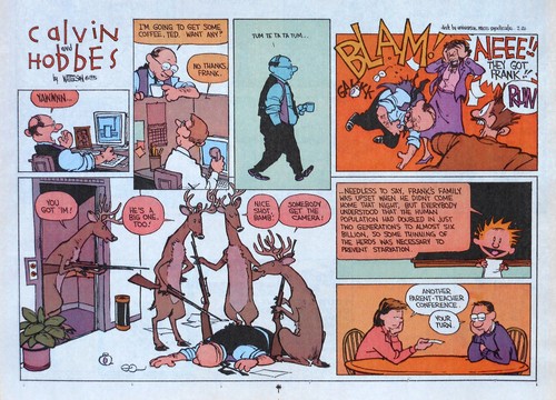 Calvin und Hobbes von Watterson - Lot von 15 farbigen Sonntag Comicseiten - 1987/1995