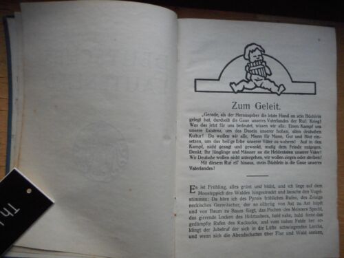 Walther Werckmeister: Deutsches Lautenlied, Verlag A. Köster 1914 Jugendstil - Bild 6 von 20