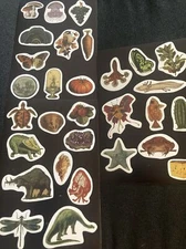 Eclectic Stickers Frog Mushroom Turtle Cheese Fish Plants Dinosaur Nature 