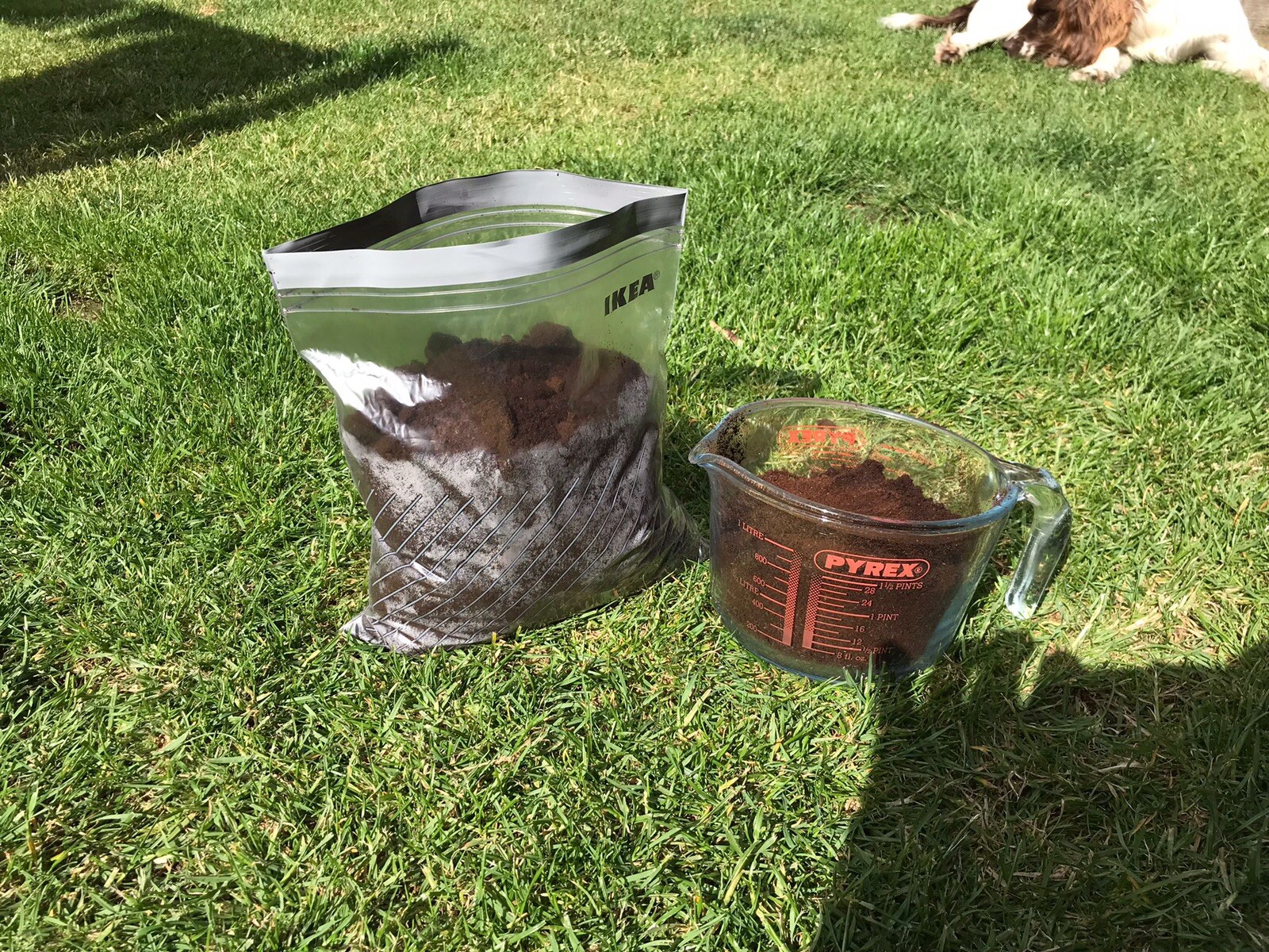 Used Coffee Grounds for Garden Compost Fertiliser, Mulch. 20L Litres eBay