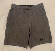 Nike Dri Fit Standard Fit Men's Grey Shorts Size Small 29"x8"