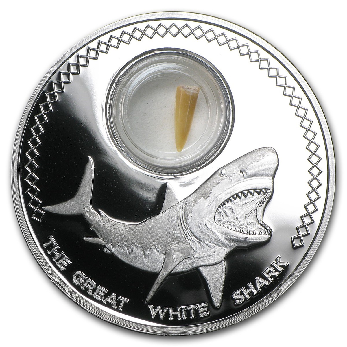 カナダ銀貨　白樺　ドゥルージーストーン 2014 Tokelau 1 oz Silver Shark Tooth (Great White Shark) | eBay
