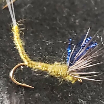 BWO FLY FISHING FLIES SIZE 12 COMPARA DUN FRONTIER CUSTOM TIED DRY FLY HI VIS