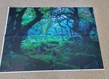 Photography Background Backdrop Vinyl 5'x 7' Blue and Green Scene