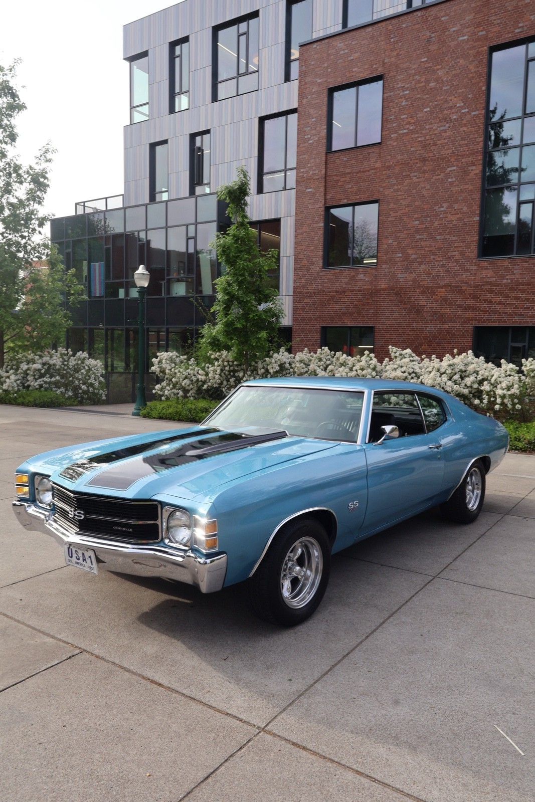 1971 Chevrolet Chevelle for sale in Eugene Oregon