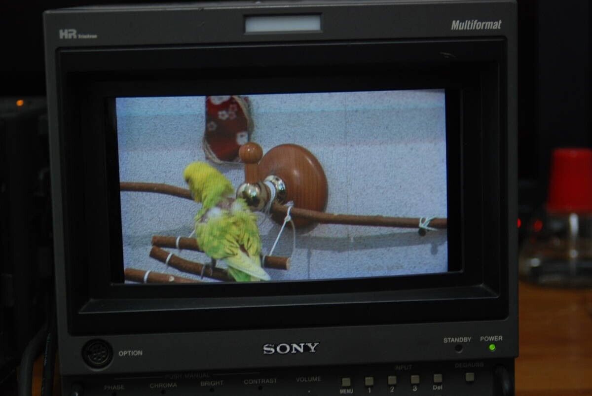SONY BVM-D9H5J #90 | eBay SONY BVM-D9H5J #90 | eBay