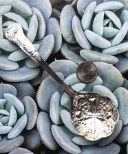 ⭐️VINTAGE W A EPNS Sheffield England Sliver Repousse Berry Spoon King Pattern