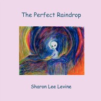Sharon Lee Levine | The Perfect Raindrop | Taschenbuch | Englisch (2009)