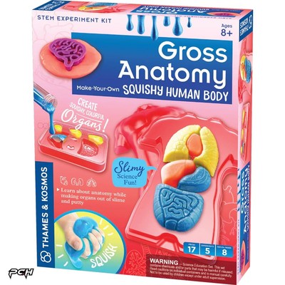 Thames & Kosmos Gross Anatomy: Make-Your-Own Squishy Human Body 550032
