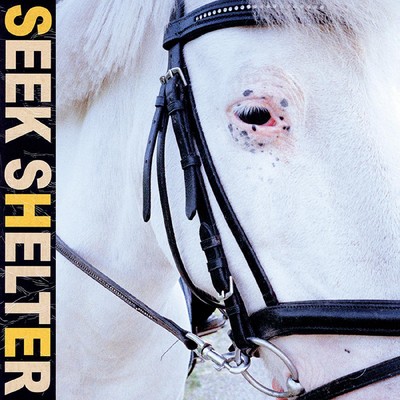 Iceage Seek Shelter [LP] Records & LPs New
