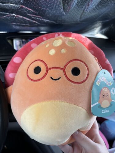 Squishmallows Caine the Turtle with Glasses 8" Plush First to Market Stuffed Toy
