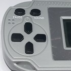 Picture 4 of 6