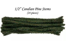 24 Canadian Pine Stems - 12 long x 12mm - Per...