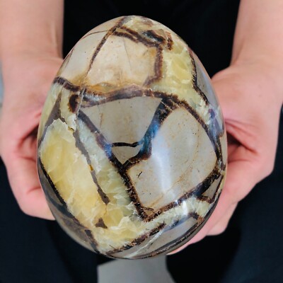 2.53LBNatural Septarian Dragon Stone Crystal Egg Quartz Healing Decoration