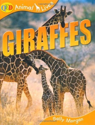 Giraffes (QED Animal Lives) By Sally Morgan