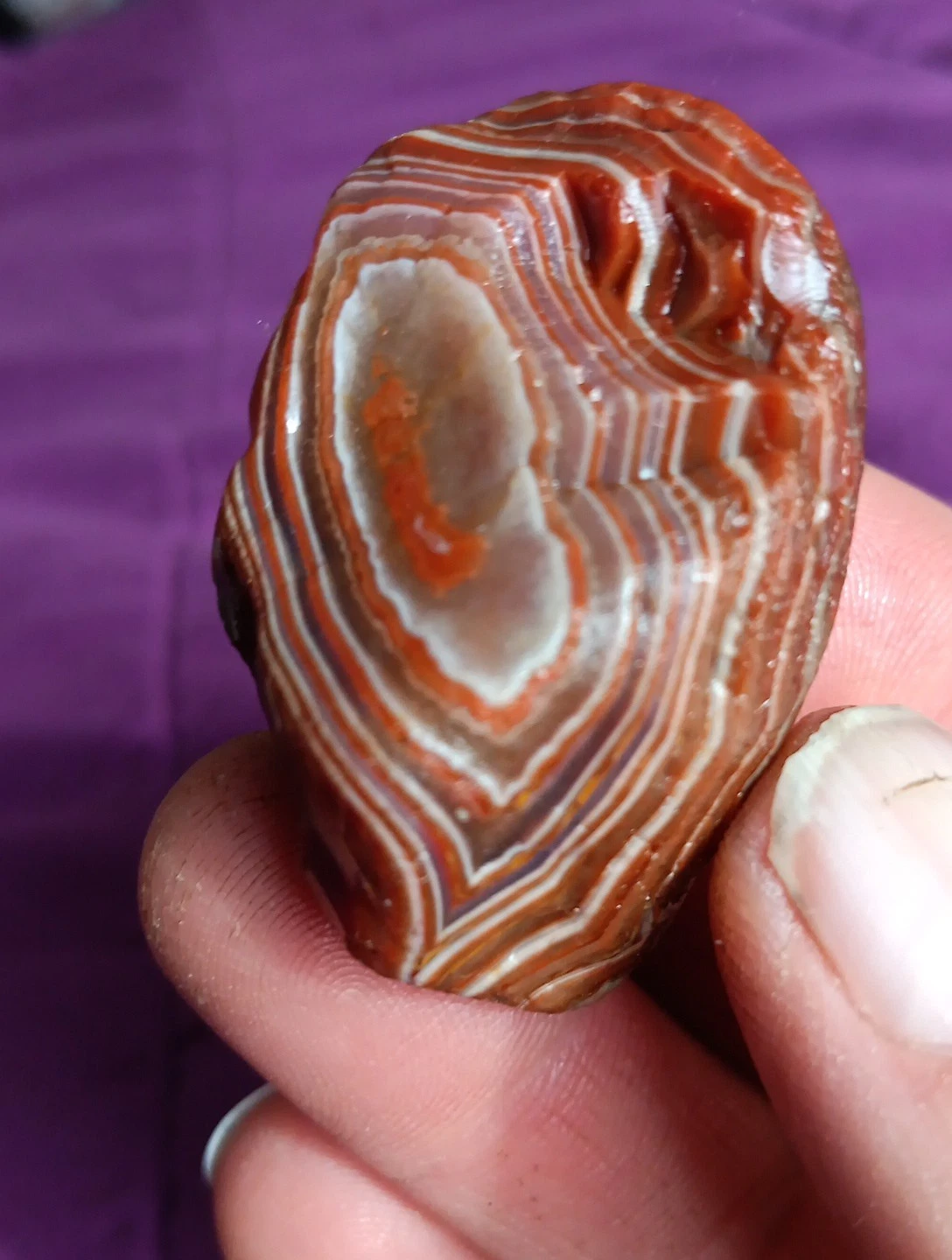 Lake Superior Agate,Amazing Red And White Peeler