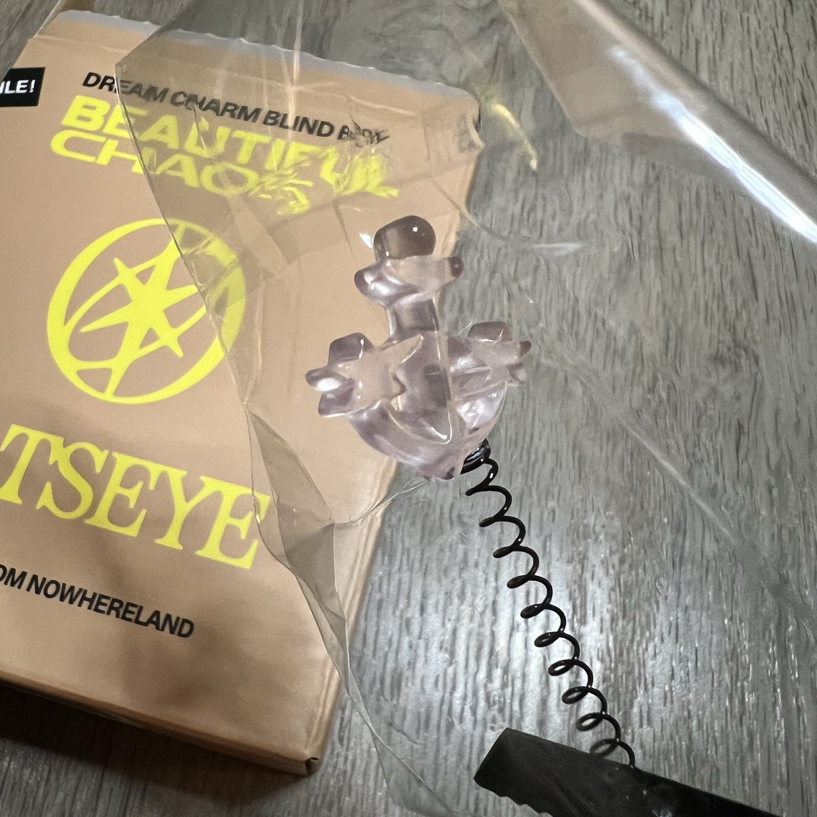 KATSEYE Beautiful Chaos Sophia Anchor Dream Charm Rave Sprout ONLY