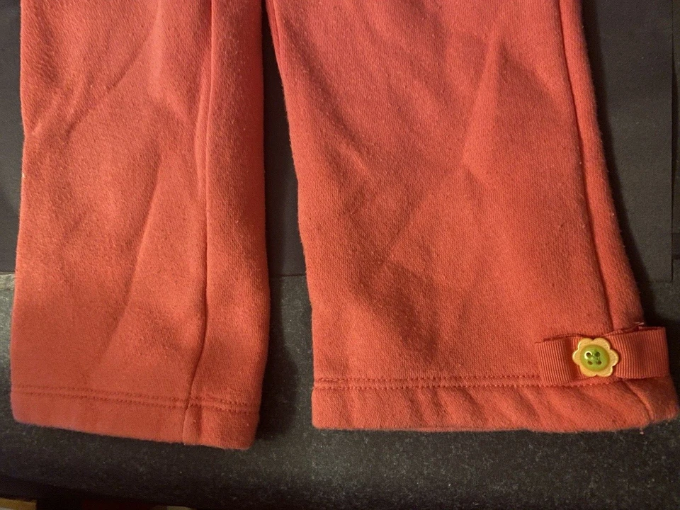 Pantalones de salón de lana para niñas Gymboree talla 2T vintage 2012 rosas flores en crecimiento Foto 3 de 4