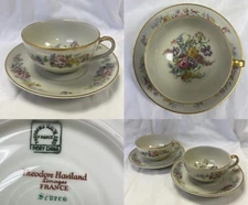 Theodore Havilland Limoges Sevres Cup & Saucer Floral w/ Double Gold Border (J1)