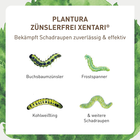 Bild 3 von 12