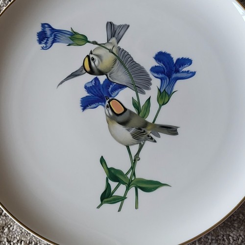Set 4 Athos Menaboni American Song Bird Plates Syracuse China Wren Kinglet MINT - 第 10/14 張圖片