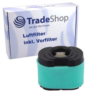 2in1 Luftfilter-Set kompatibel mit Briggs & Stratton Intek V-Twin 40, 44, 49