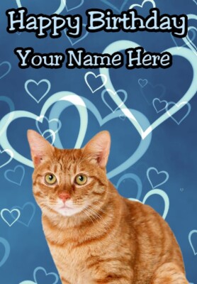Personalisierte Grußkarte Ingwer Katze Anlass Geburtstag Glückwunsch MM5