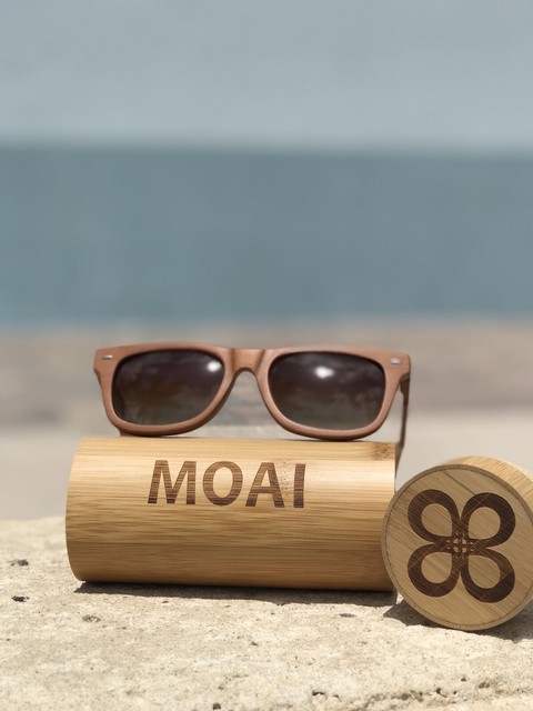 visionary sunglasses